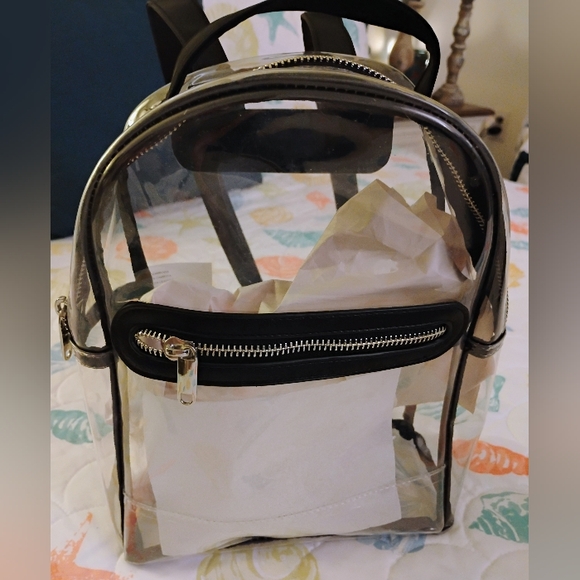 Wild Fable Black Transparent Backpack with Minimalist Design - Picture 1 of 4